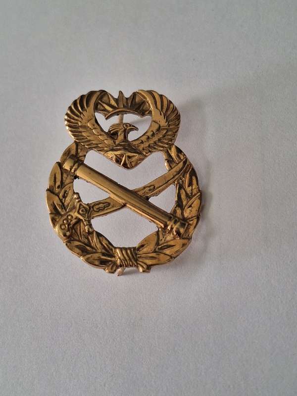 SA Army General Officer badge
