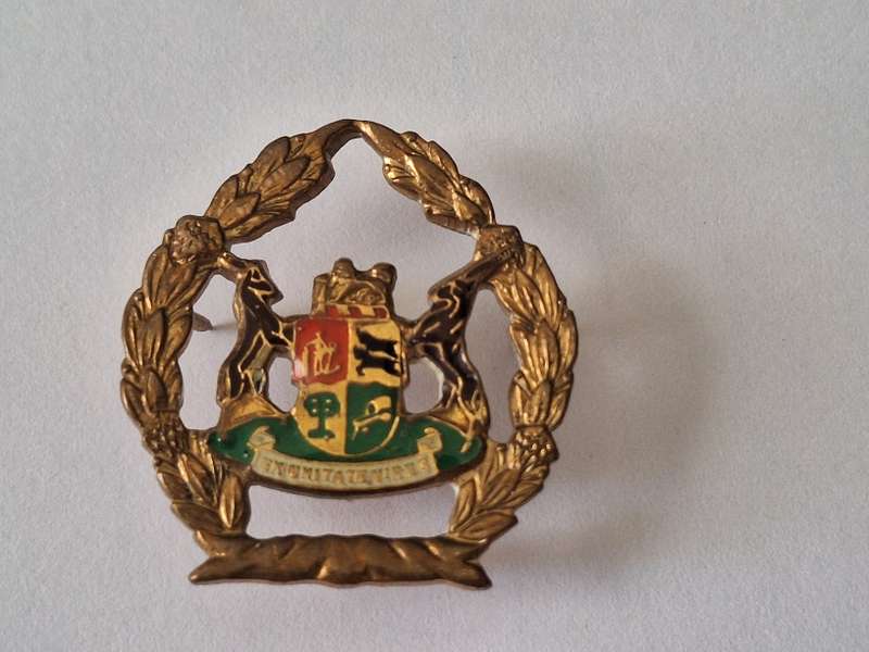 SA Prison services WO rank badge