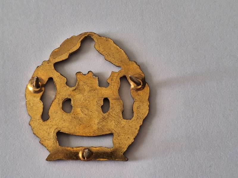 SA Prison services WO rank badge