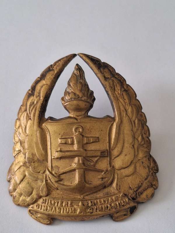 SADF Gymnasium cap??? badge