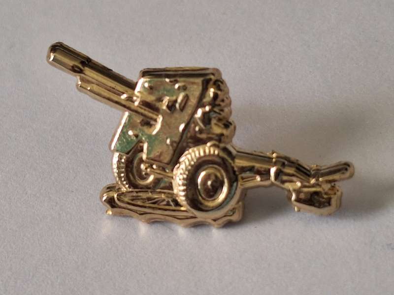 25 pounder lapel pin