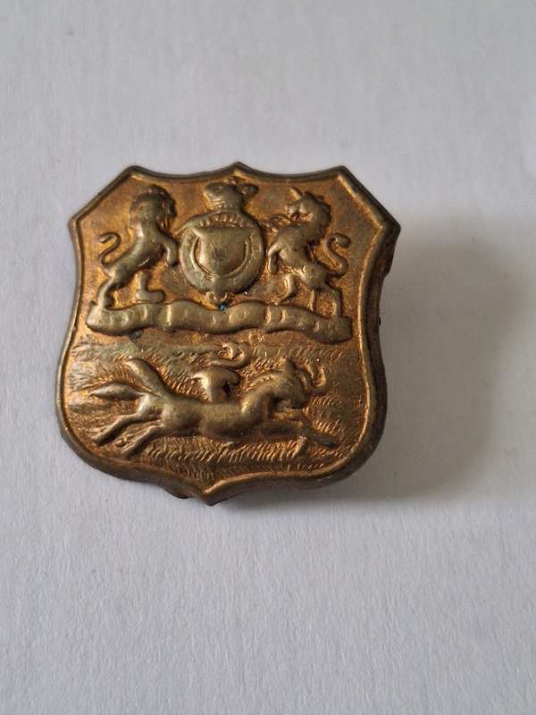 Royal Durban light infantry badge