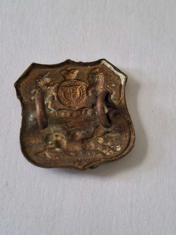 Royal Durban light infantry badge