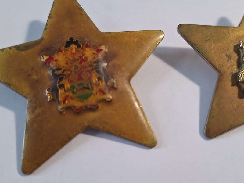 Medio Tutissimus Ibis badges