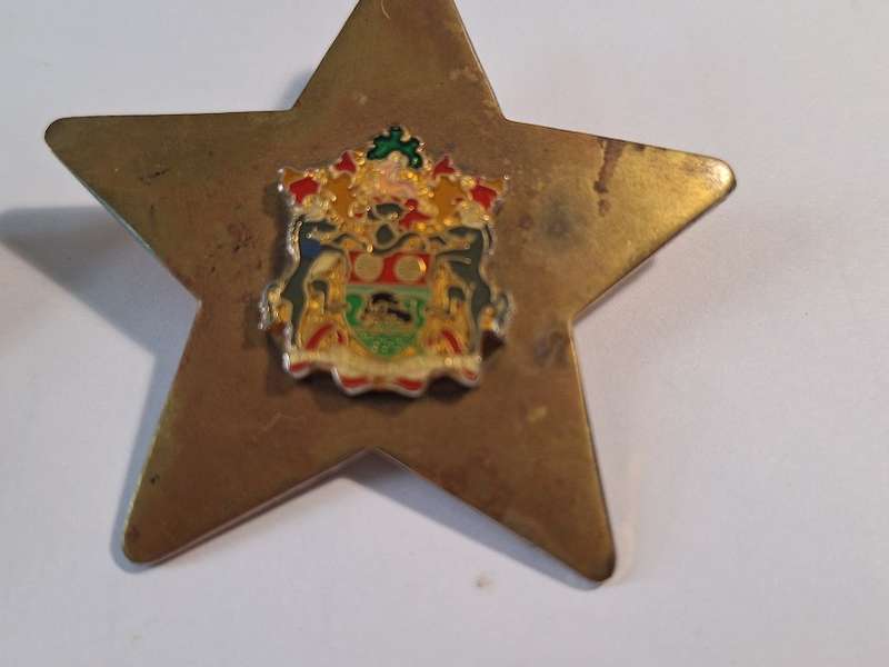 Medio Tutissimus Ibis badges