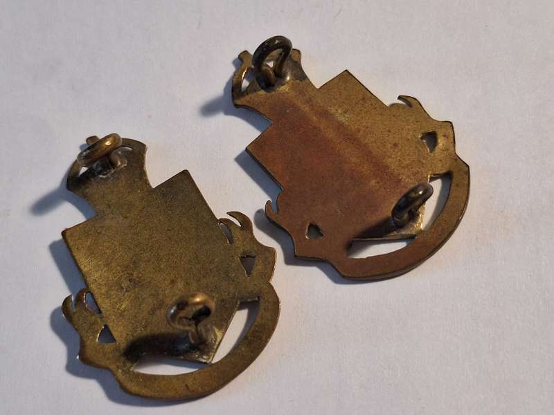 2 x Natal Provincial administration badges