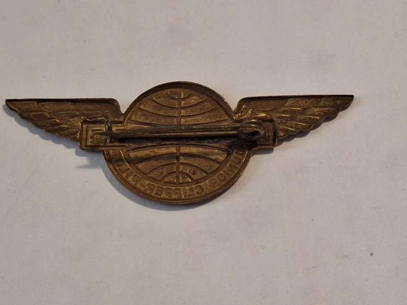 Vintage Pan Am 1960s Junior Clipper Pilot Wings pin