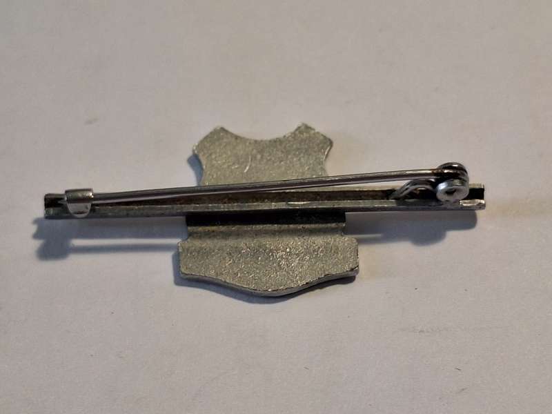 Scottburgh Tie pin