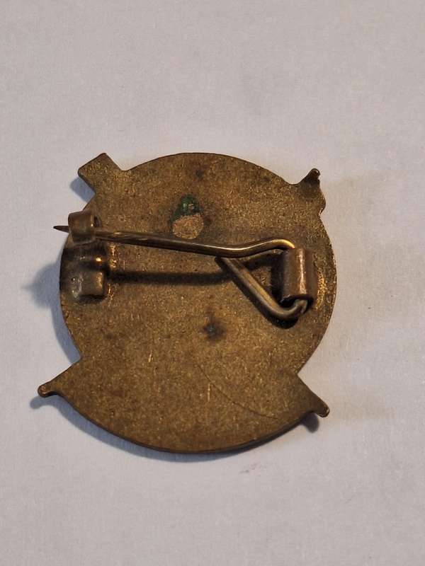 1950 Royal Life Saving Society Enamel medallion
