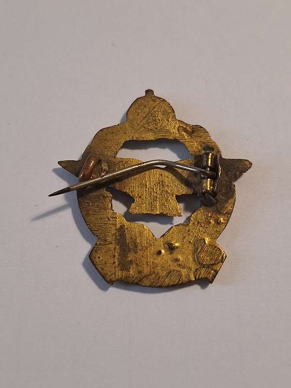 SAAF badge