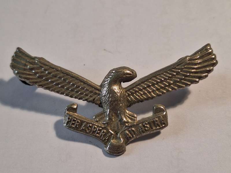 SA Airforce cap badge
