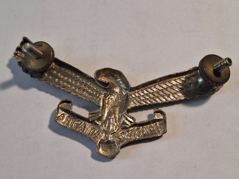 SA Airforce cap badge