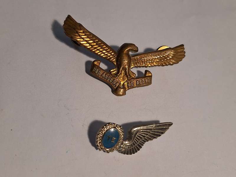 SA Airforce Badge and wing