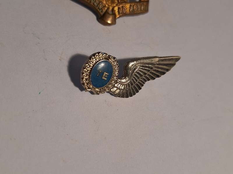 SA Airforce Badge and wing
