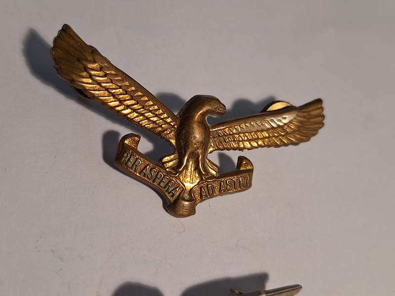 SA Airforce Badge and wing
