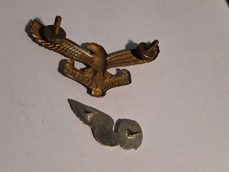 SA Airforce Badge and wing