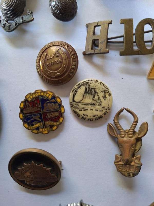Large selection of Military badges