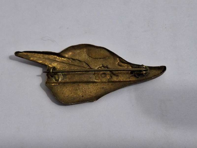 Spilla Alpini pin, Italian Army Mountain Infantry Corps