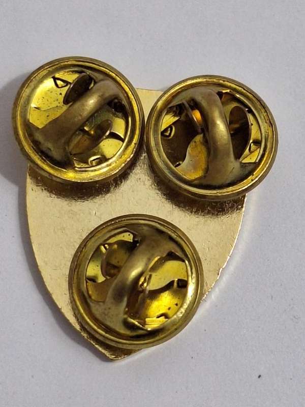 SA Army - 7 Medical Batallion pin/flash