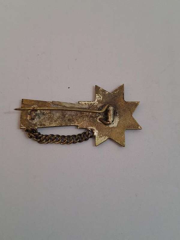 Veritas KCBU pin/badge