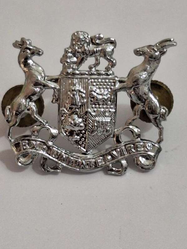 SADF WO class 2 rank badge