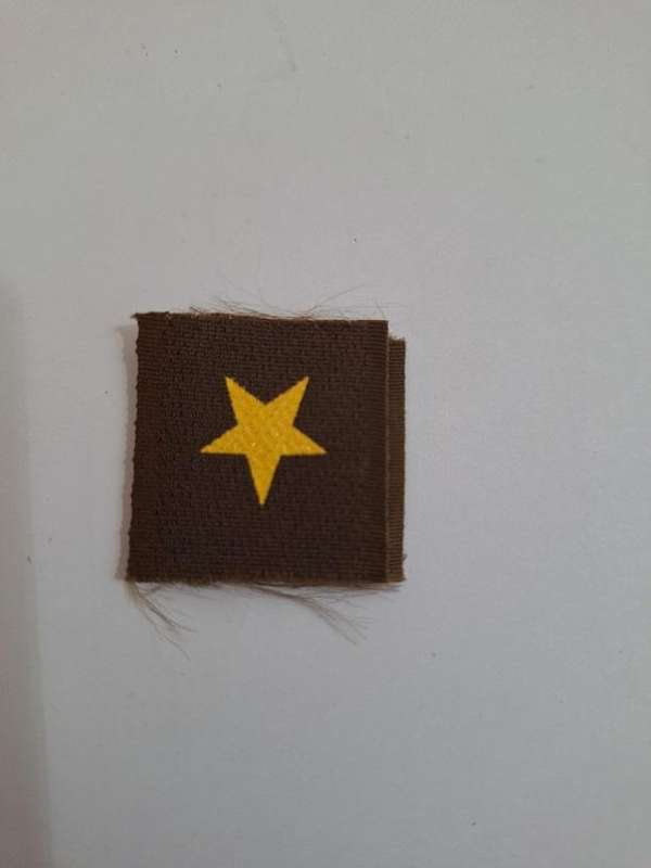 SADF Velcro collar rank