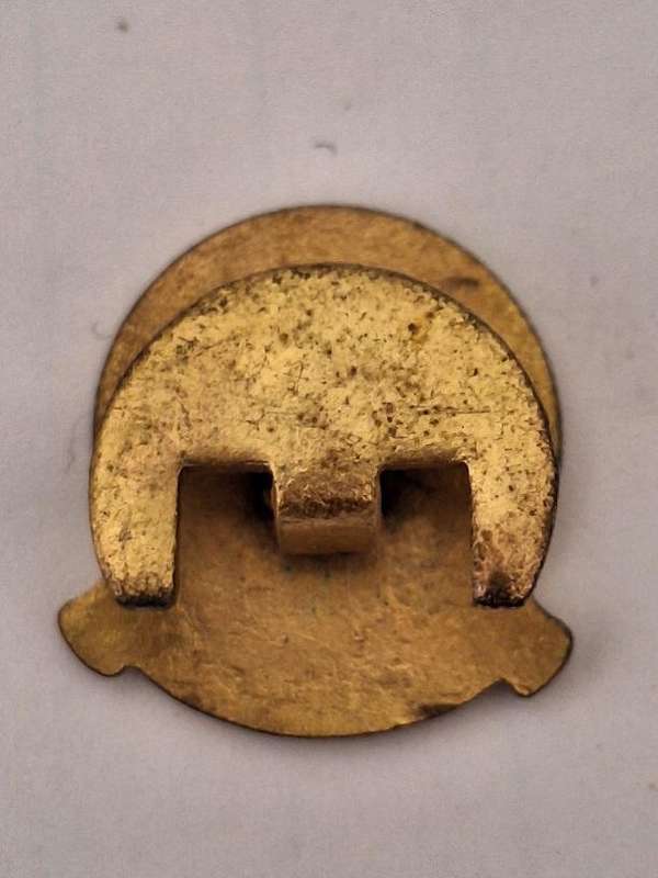 National Party 1914 - 1964 50 year lapel pin