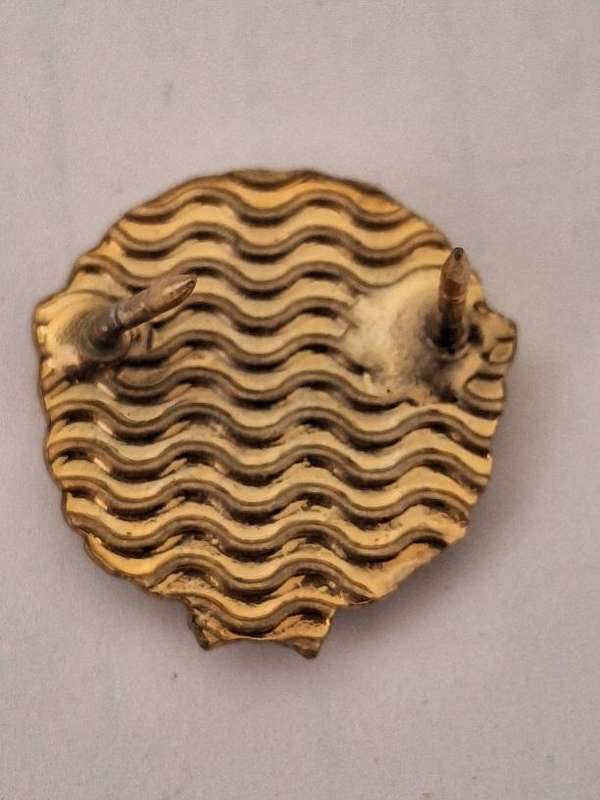 SANDF collar badge