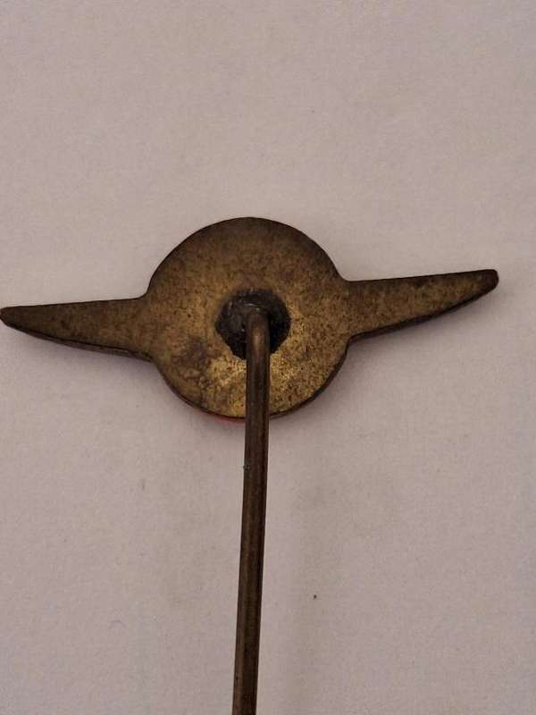 WW2 era Royal Netherlands Air Force pilot wing pin