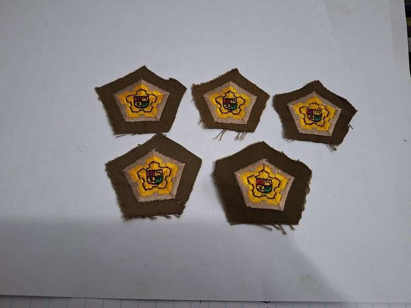 SADF Castle rank badges