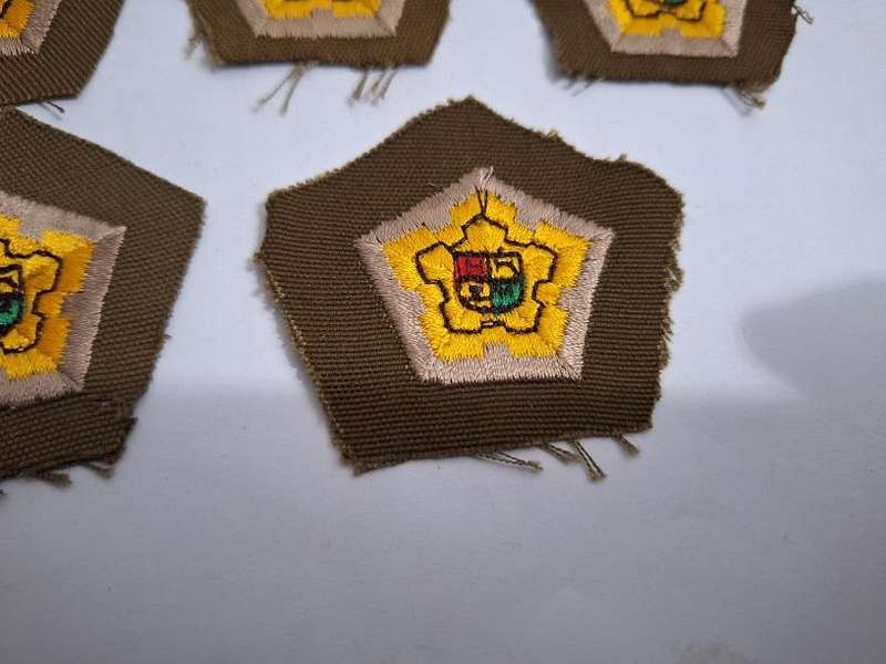 SADF Castle rank badges