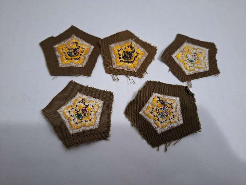 SADF Castle rank badges