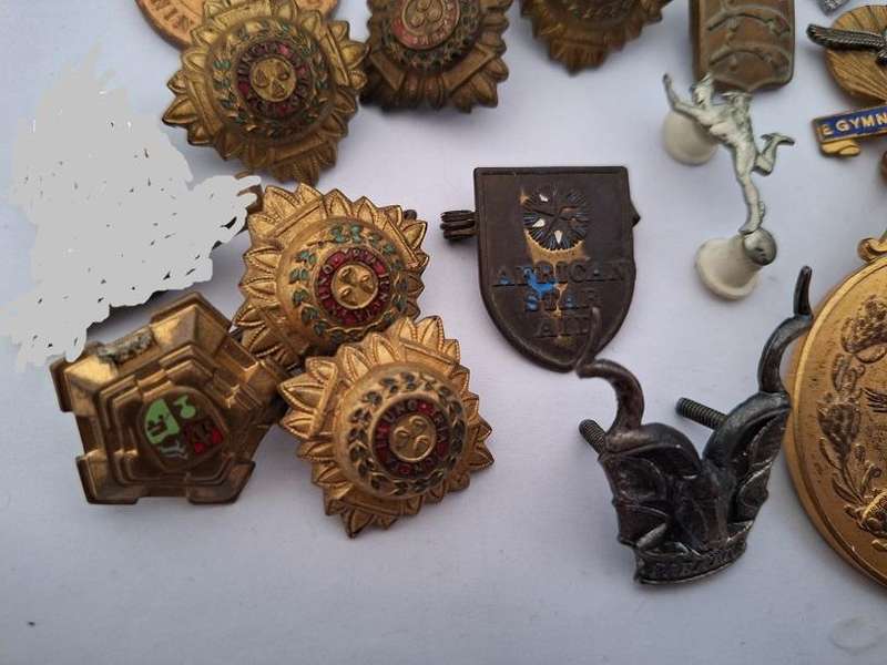 Variety of military badges
