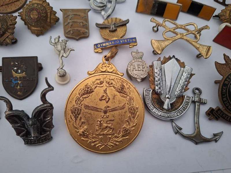 Variety of military badges
