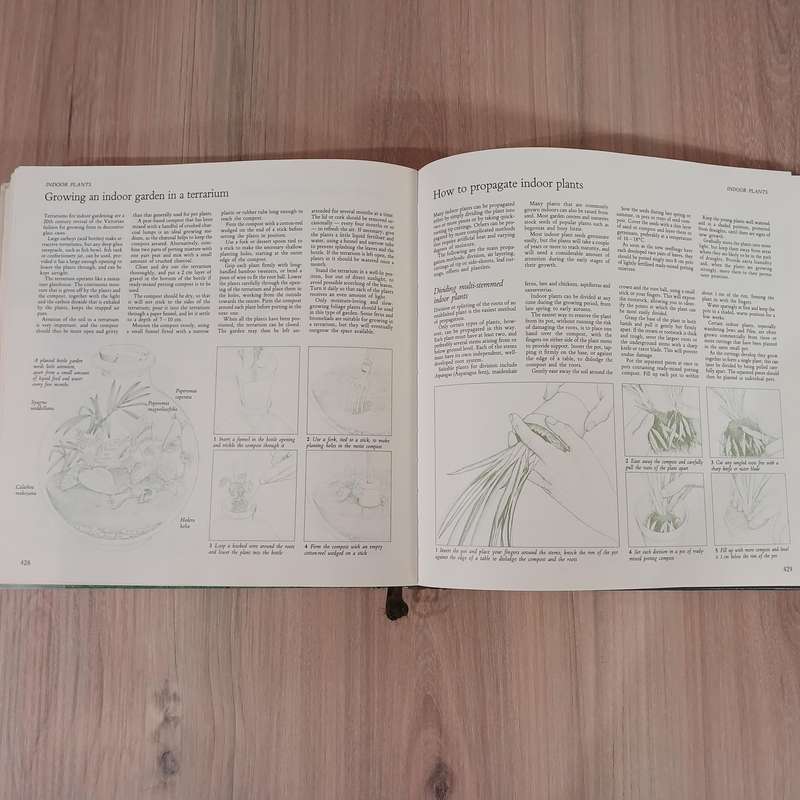 Illustrated Encyclopaedia of Gardening in South Africa