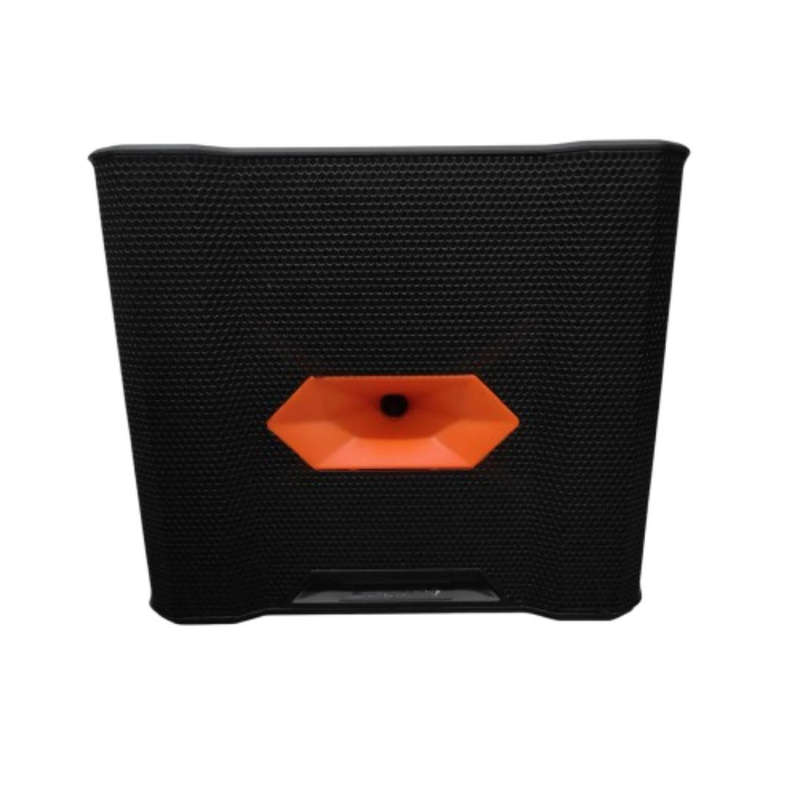 Alien Pro Rock 300A Active Professional BT Speaker