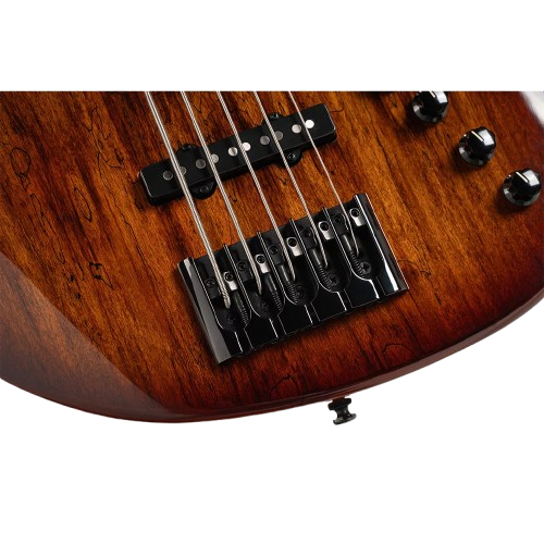 CORT GB FUSION 5 ABB 5 STRING BASS GUITAR, ALDER BODY WITH SPALTED MAPLE TOP, ROSEWOOD FRETBOARD, AN
