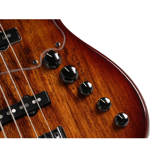 CORT GB FUSION 5 ABB 5 STRING BASS GUITAR, ALDER BODY WITH SPALTED MAPLE TOP, ROSEWOOD FRETBOARD, AN