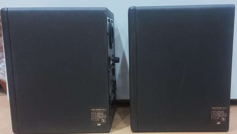ESI nEar5 Studio monitors