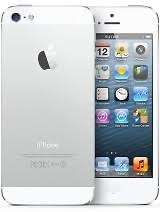 iPhone 5 (16GB)