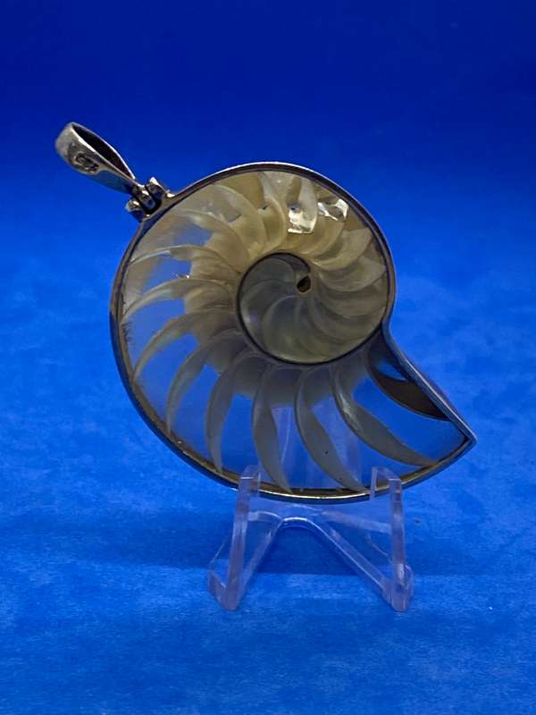Ammonite encased in silver pendant