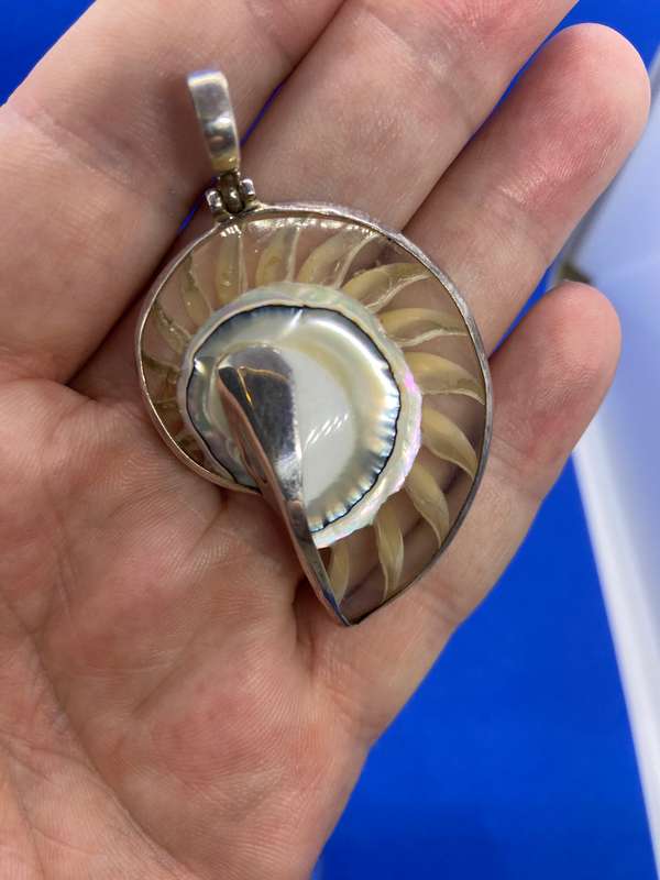 Ammonite encased in silver pendant