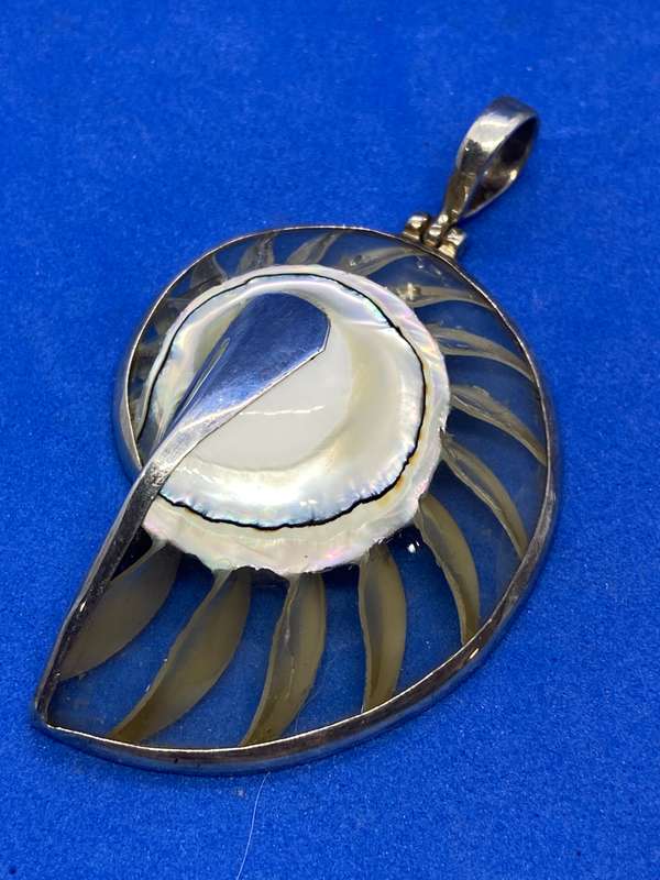 Ammonite encased in silver pendant