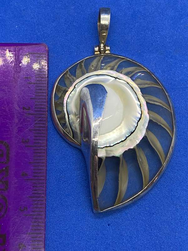 Ammonite encased in silver pendant