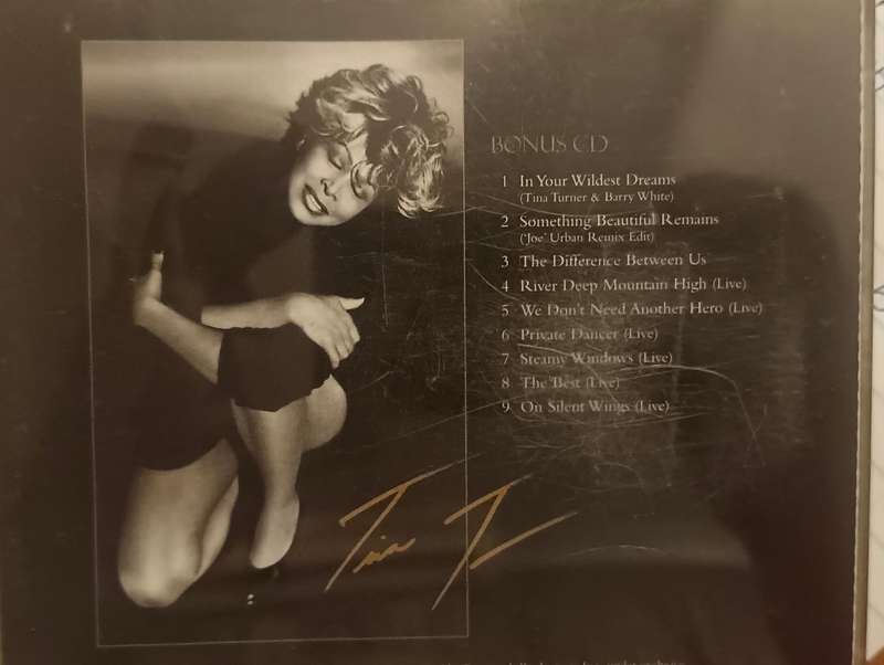 Tina Turner - Wildest Dreams