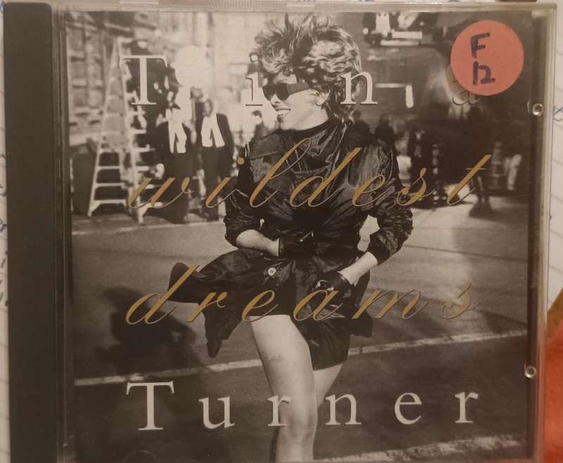 Tina Turner - Wildest Dreams