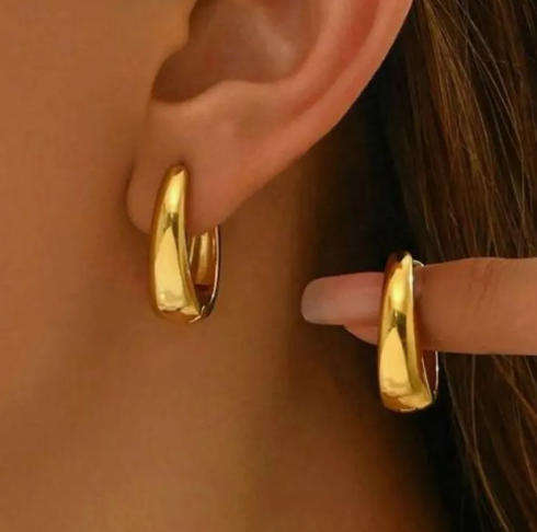 Gold Plated Stainless Steel Crest Style Earrings