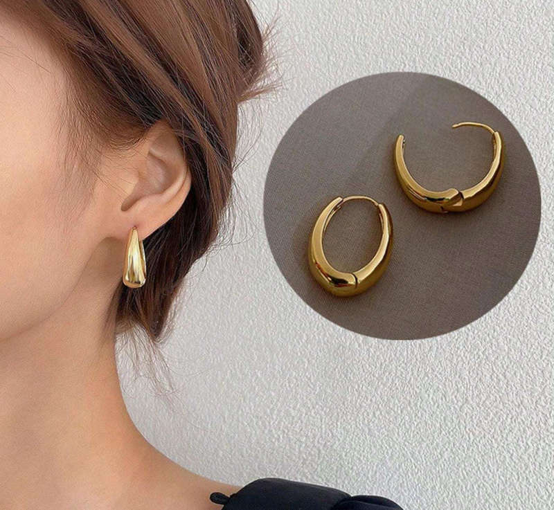 Gold Plated Stainless Steel Crest Style Earrings