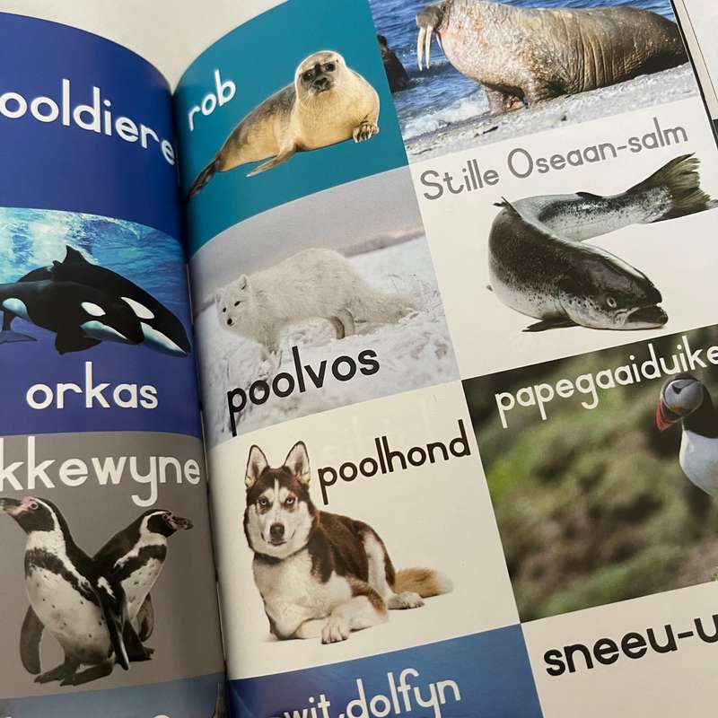 Afrikaans readers - My Eerste educational series - 6 books