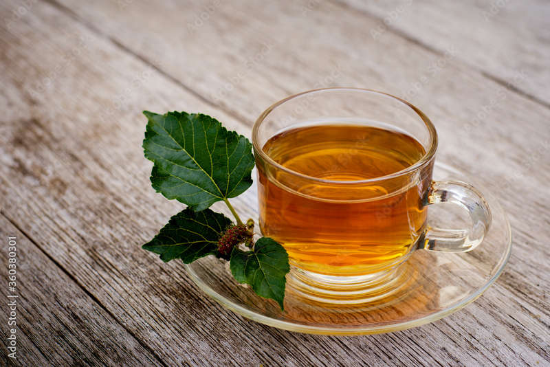 MULBERRY LEAF TEA x 15g